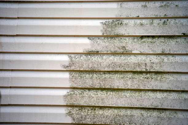 Best Shed Removal  in Lovelock, NV