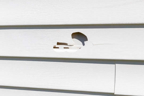Best Same-Day Junk Removal Services  in Lovelock, NV