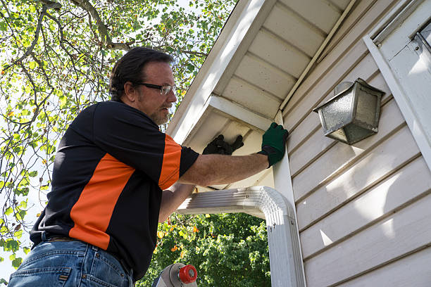 Best Hoarding Cleanup  in Lovelock, NV